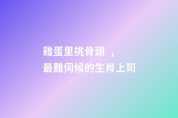 雞蛋里挑骨頭，最難伺候的生肖上司